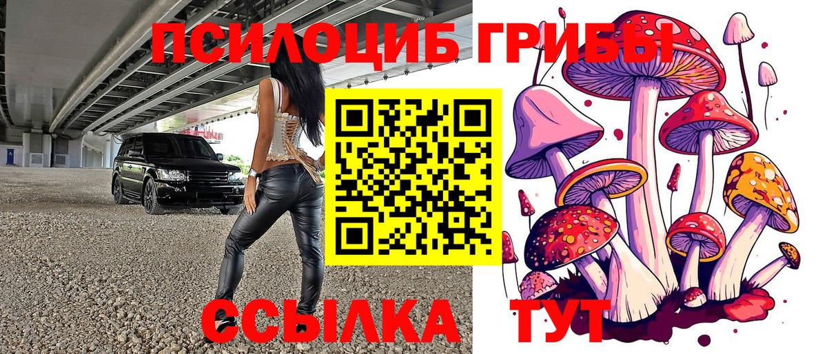 Псилоцибиновые грибы прущие грибы Губаха